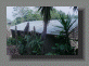 cma001004.gif